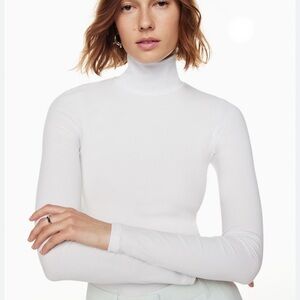 Aritzia wilfred free only soft turtleneck long sleeve ribbed